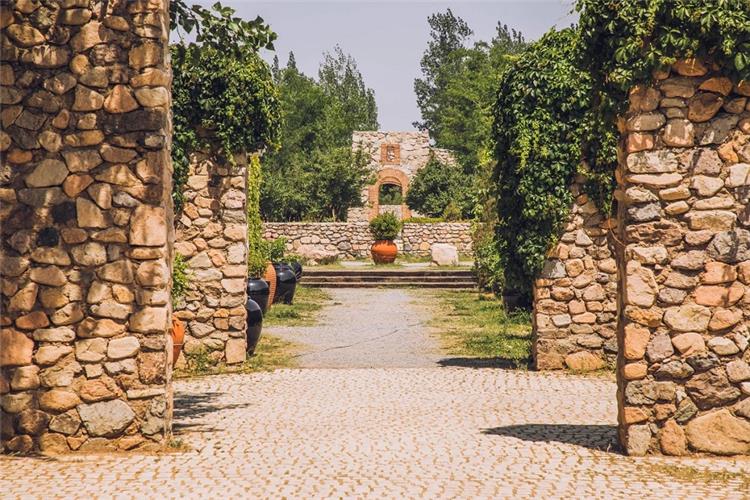 Cobblestone pathway framed by old stone pillars and climbing ivy in winery garden