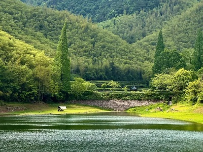 Scenic views along the way during Moganshan hiking day tour from Hangzhou