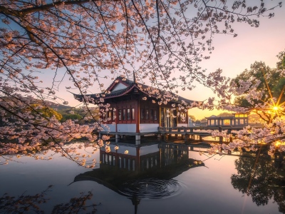 Classic Hangzhou day trip with beautiful west lake scenery