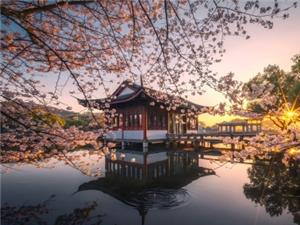 Classic Hangzhou day trip with beautiful west lake scenery
