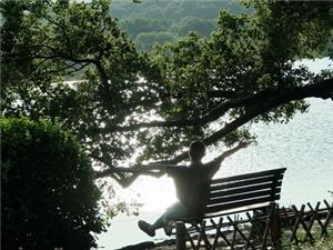 Lush green trees framing sparkling tranquil water of West Lake, peaceful natural lakeside scenery in Hangzhou