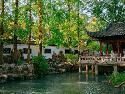 Serene Yuyuan Garden View, Classical Jiangnan Pavilion, Stone Bridge, Pond & Lush Metasequoia Trees