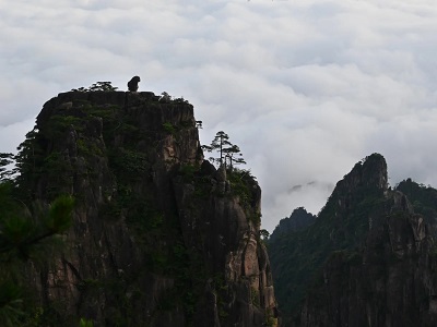Famous Monkey Watching the Sea Rock Huangshan Scenic Day Tour