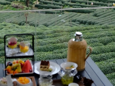 Visiting Hangzhou Jiuxi Park and Longjing Tea Village in One Day