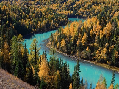 Kanas Moon Bay Golden Autumn Forest River Tour from Urumqi