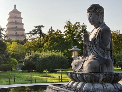 Giant Wild Goose Pagoda Buddha Statue Ancient Temple Tour from Xi'an