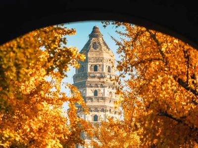 View of Yunyan Pagoda at Tiger Hill, framed by golden ginkgo leaves in Suzhou