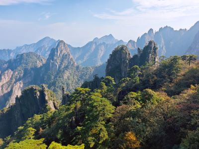 Panoramic view of Huangshan steep stone peaks dotted with ancient pine trees under clear pale blue sky