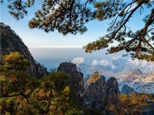 Beautiful natural scenery of Huangshan Mountain with pine trees, steep peaks and sea of clouds