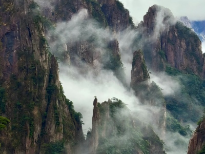 Steep jagged stone peaks and green pine trees of Huangshan Mountain shrouded in rolling mist and sea of clouds