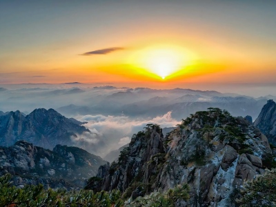 Golden sunrise glowing above layered sea of clouds, jagged granite peaks and pine trees of Huangshan Mountain, stunning alpine dawn scenery