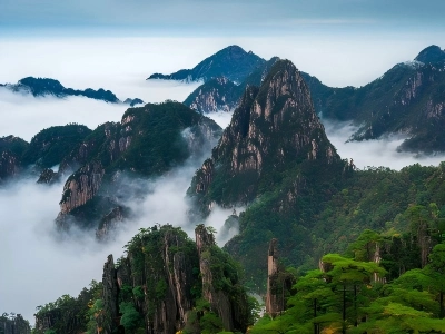 Majestic sharp granite peaks covered with green pine trees rising above thick rolling white sea of clouds, layered distant mountain ridges at Huangshan Anhui China