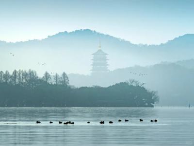 Leifeng Pagoda Shrouded In Morning Mist Over West Lake Hangzhou Wild Ducks On Calm Water