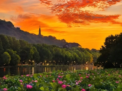 Stunning fiery sunset sky over Hangzhou West Lake, full blooming lotus flowers in foreground, Baoshu Pagoda on green hillside