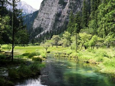 Beautiful Jiuzhaigou National Park landscape featuring a clear mountain stream and lush forestsin Sichuan China