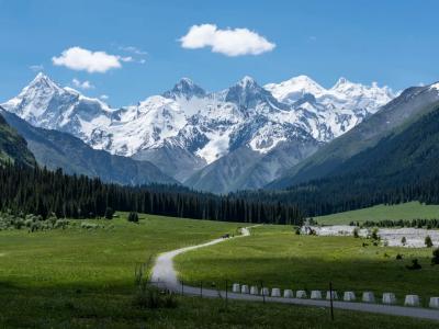 Ili grassland in Xinjiang with snow-capped mountains, green meadows, forests, and a scenic road through the valley