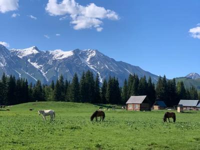 Altay grassland in Xinjiang with grazing horses, wooden cabins, green meadows, and snow-capped mountains