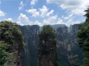 Zhangjiajie sandstone pillars covered with forests under a blue sky in Wulingyuan Scenic Area