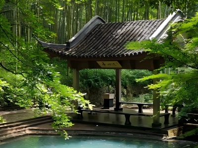 Yunqi Bamboo Path in Hangzhou showing stone trail through dense bamboo woods