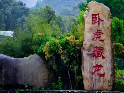 Anji Bamboo Sea Movie Crouching Tiger, Hidden Dragon Location