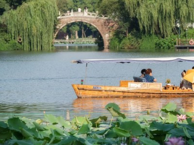 Wooden tourist boat gliding through lotus ponds at West Lake in summer