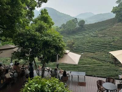 Longjing Village's leisurely mountain scenery