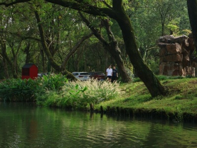 The lush green scenery of Xixi Wetland National Park