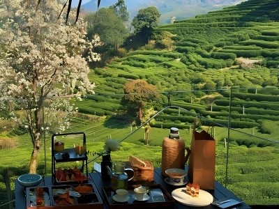 Afternoon Tea at Maoju Longjing Tea Mountain