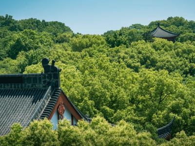 Hangzhou City God Pavilion Green Forest Ancient Architecture Scenic Tour
