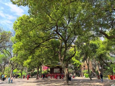 Central Environment of Wushan Square