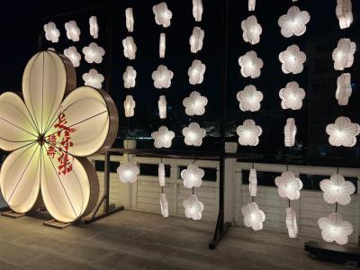 Night Lantern Parade at Deshou Palace