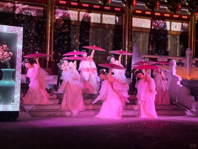 Dessou Palace Night Performance: Lights Shining on Earth