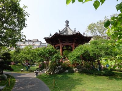 Springtime at Deoksugung Palace