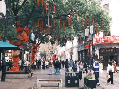 Crowded Hefang Street during the New Year