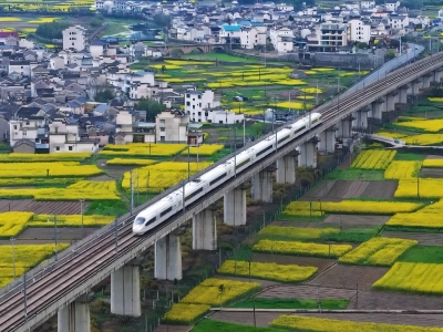 High Speed Train Running Through Rapeseed Flower Fields