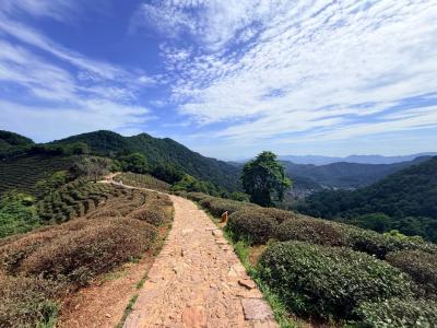 Longjing Village Trail