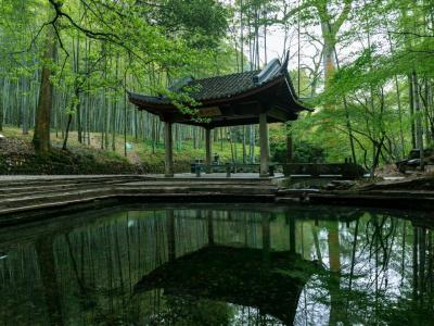 Yunqi Bamboo Path Xixin Pavilion
