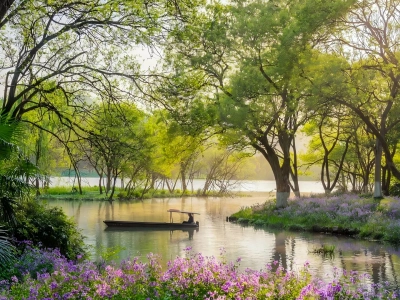 Spring Wetland Scenery in Hangzhou