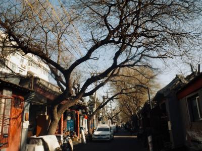 Beijing Hutong Scenery Beijing Hutong Scenery