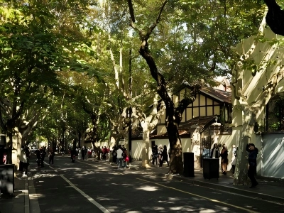 Plane Tree Boulevard on Wukang Road Shanghai