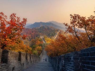 Golden scenery of Mutianyu Great Wall in autumn