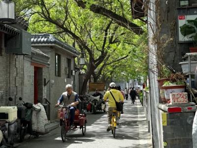 The bustling scene of people coming and going in Beijing's hutongs in summer
