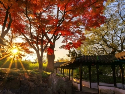 Suzhou Garden red maple sunset corridor autumn scenery