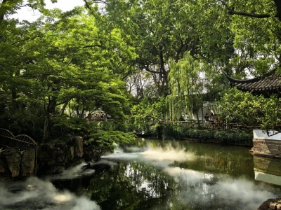 Misty Lake View in Humble Administrator's Garden