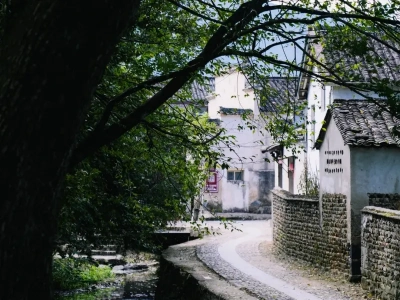 Xidi Ancient Village Huizhou traditional architecture