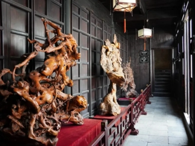 Genle Hall Root Carving Exhibition