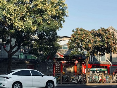 Beijing hutong street with traditional shops