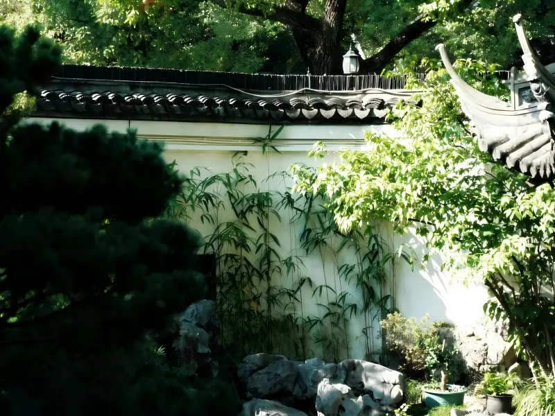 Yu Garden Bamboo White Wall