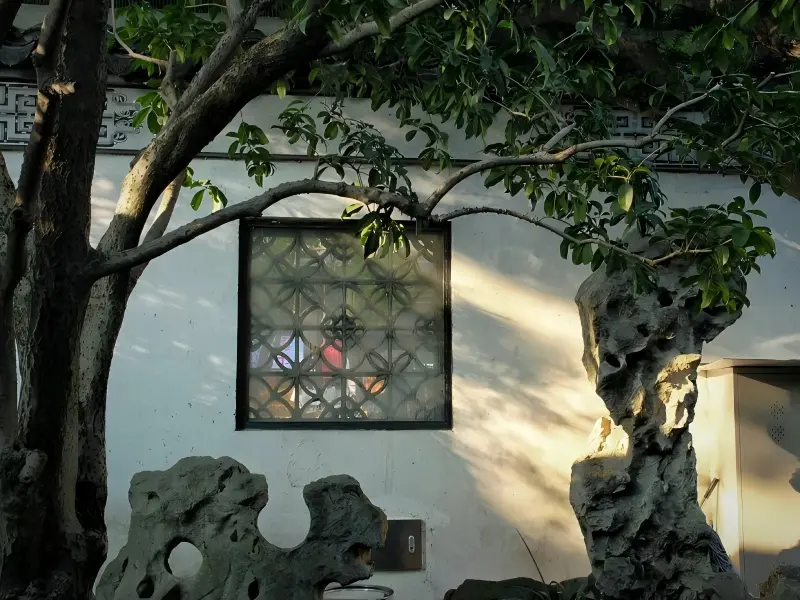 Yu Garden Window & Taihu Rock