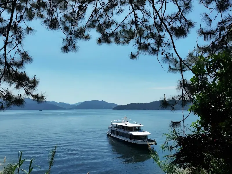 Qiandao Lake Tour Ferry Through Pine Framing